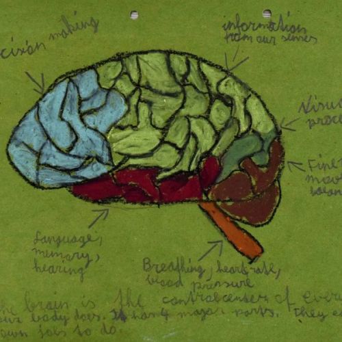 #brainstudy.jpeg